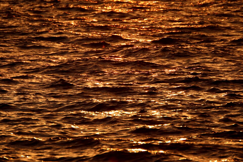 Nature sun sunset
