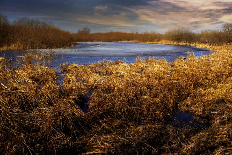 Autumn grass river