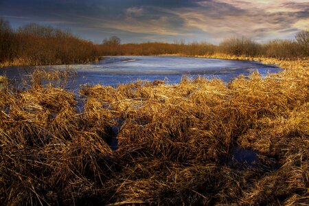 Autumn grass river