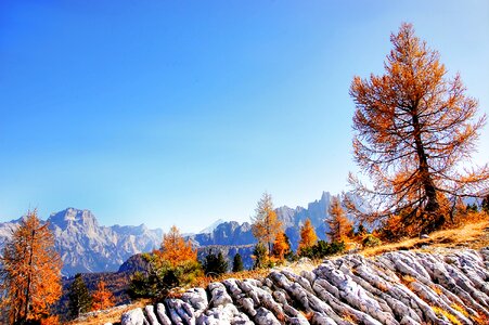 Nature blue sky photo