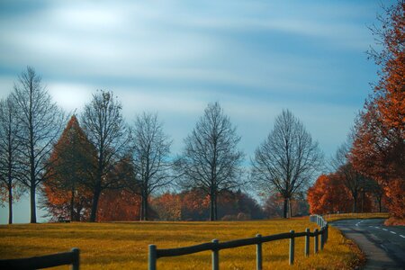 Trees road sky photo