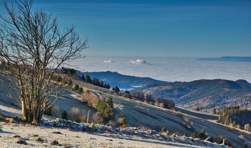 Nature panorama outlook