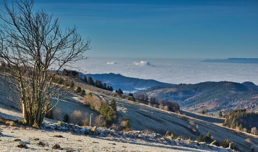 Nature panorama outlook photo