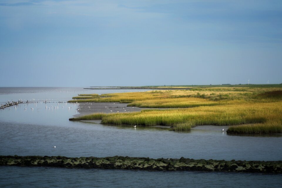 Coast sea wadden sea