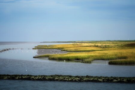 Coast sea wadden sea photo