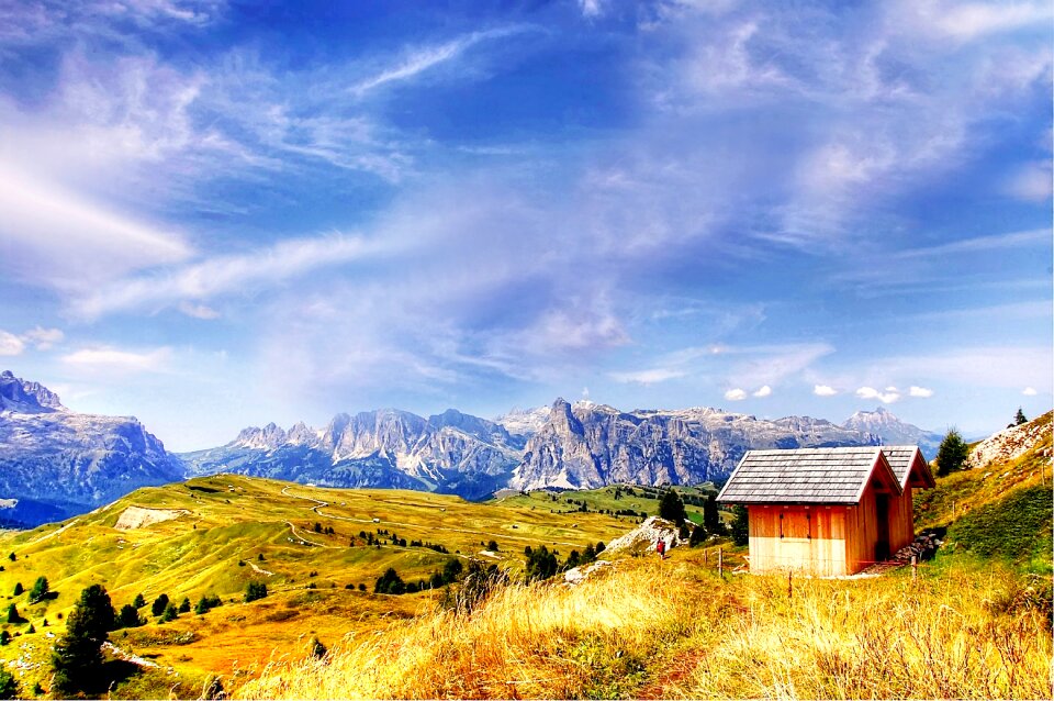 Nature enjoy summer