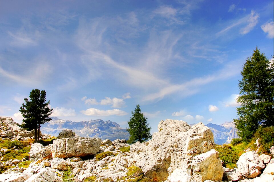 Nature enjoy summer