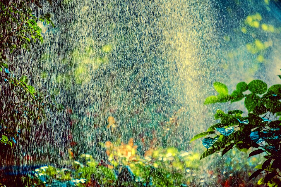 Water spray sprinkler system