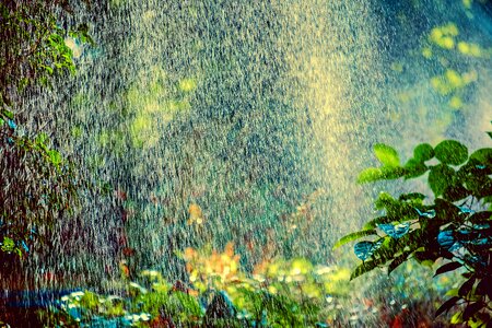 Water spray sprinkler system