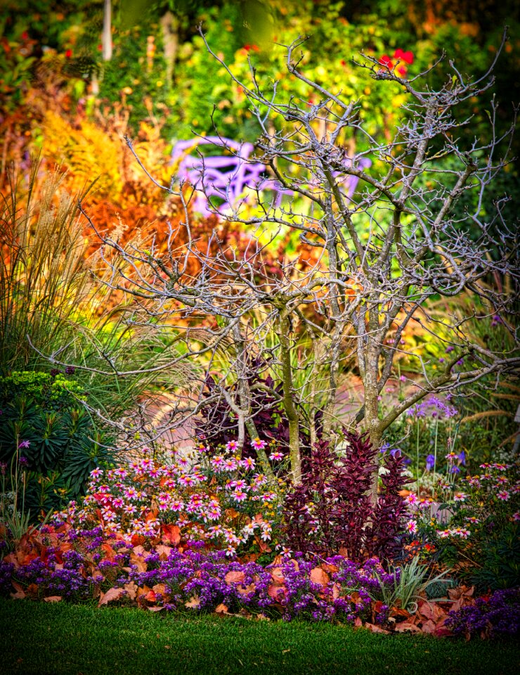 Perennials bed greeting card