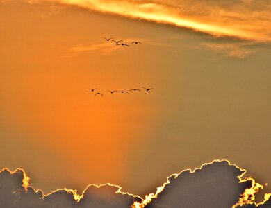 Beautiful flying clouds photo