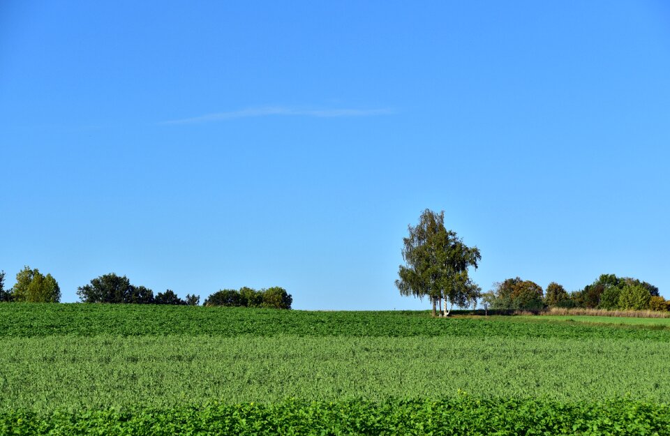 Sky summer background