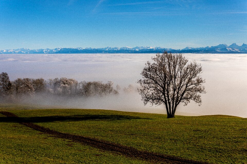 Fog line mountains landscape