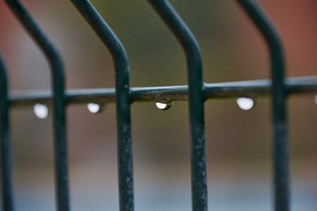 Nature climate droplets