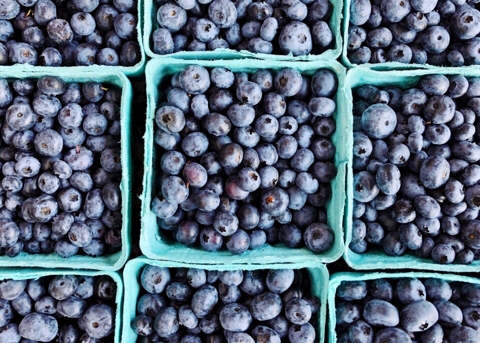 Delicious healthy fresh