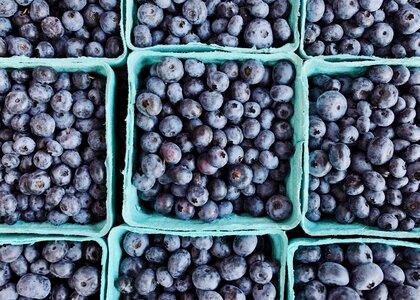 Delicious healthy fresh
