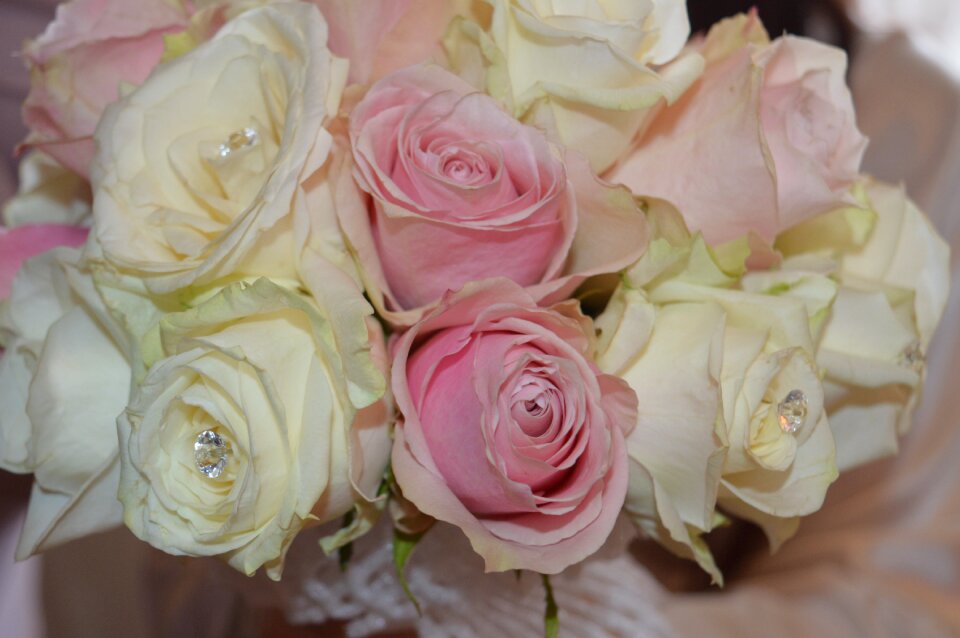 Wedding bloom nature