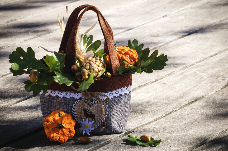 Autumn motives colorful pumpkins