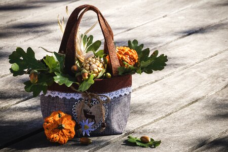 Autumn motives colorful pumpkins