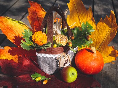 Autumn motives colorful pumpkins