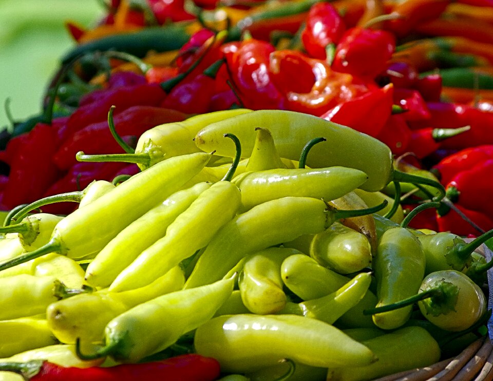 Spices food chili