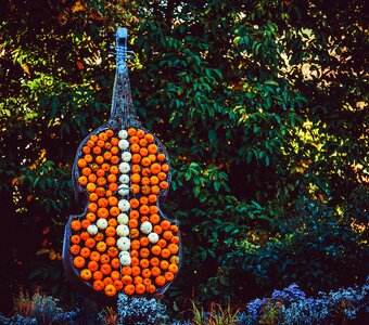 Entertainment instrument pumpkins