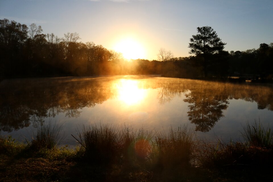 Light morning orange