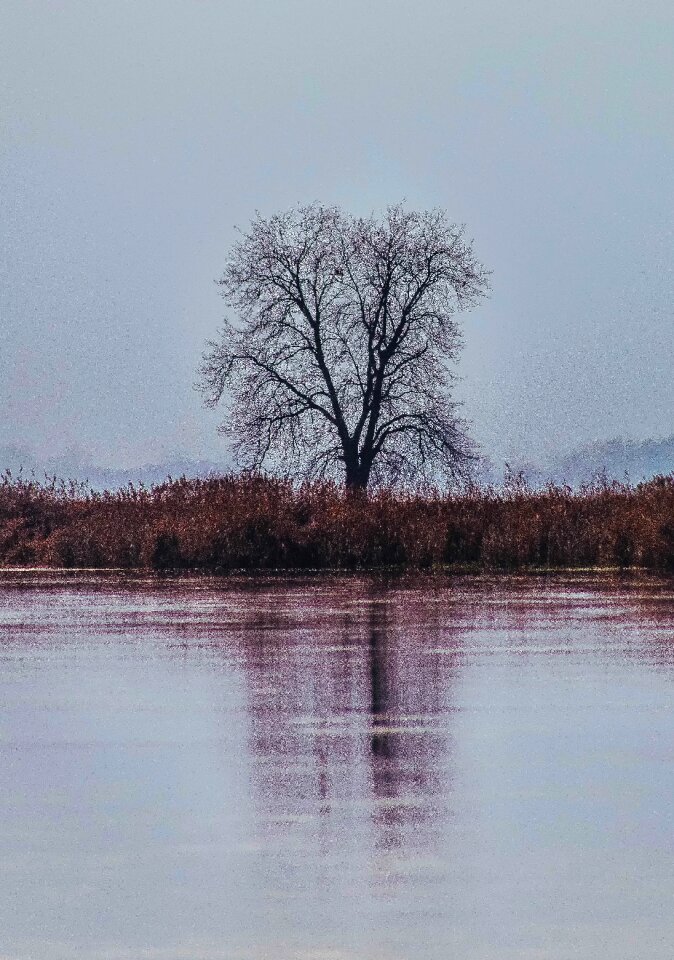 Landscape cold sadness