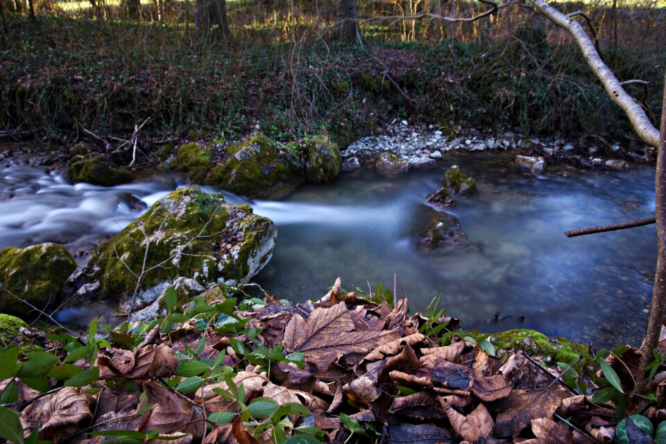 Bach waterfall landscape