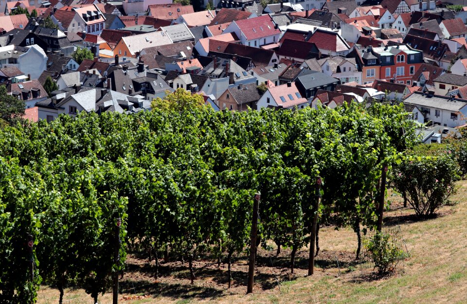 Landscape village houses