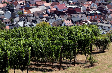 Landscape village houses photo