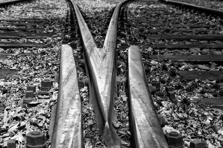 Black and white threshold transport system photo