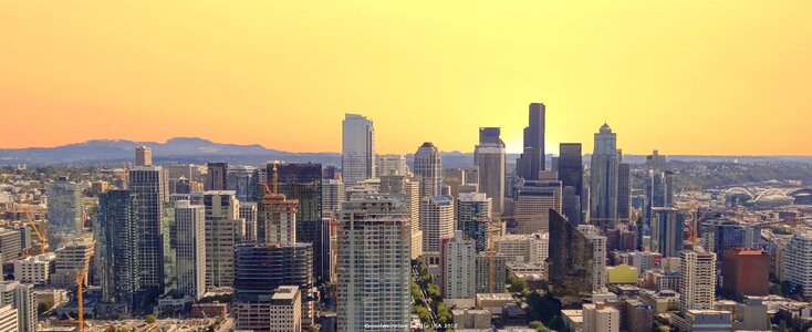 Morning skyline sun