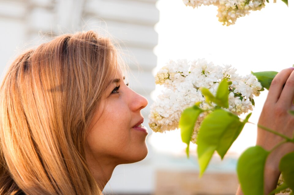 Lilac beauty portrait photo