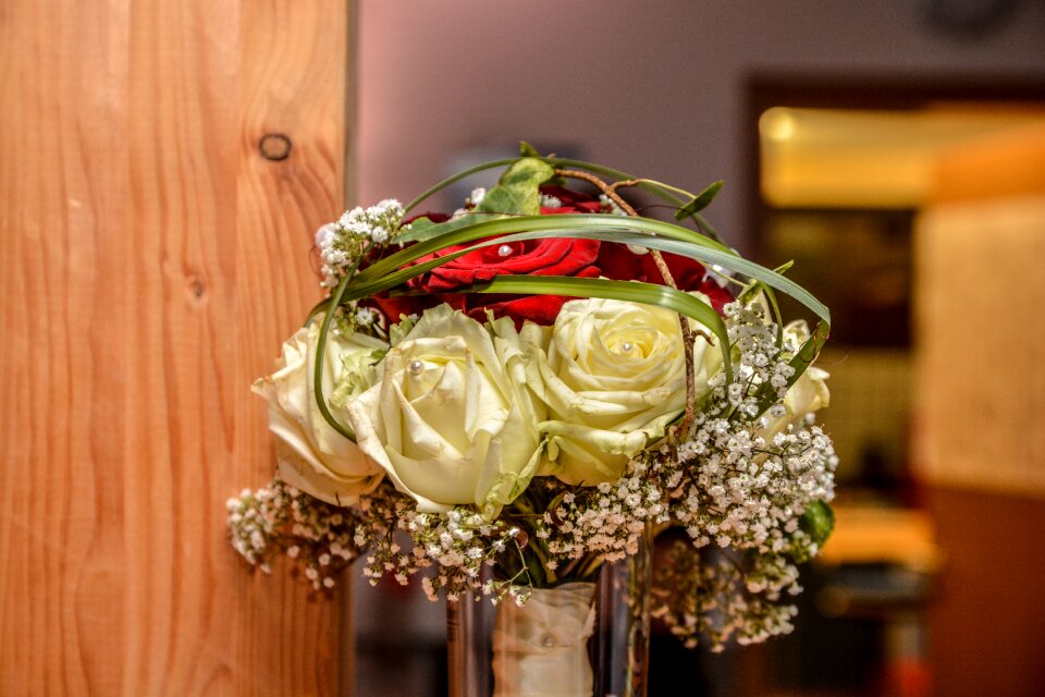 Romance white rose