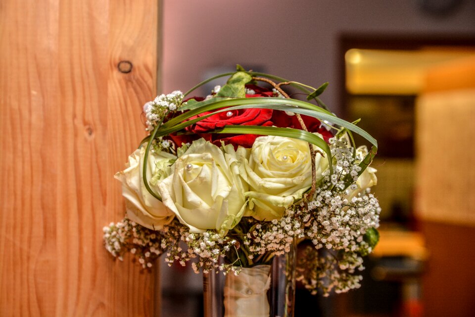 Romance white rose photo