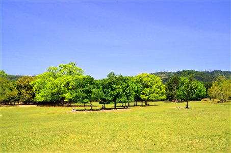 Nara Park photo
