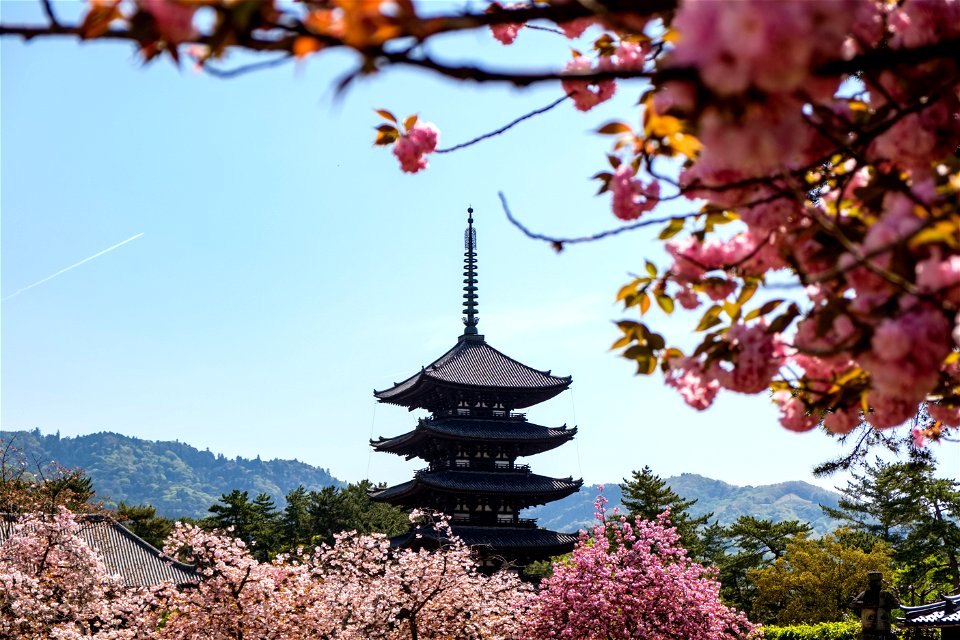 Kofuku Ji Five Story Pagoda