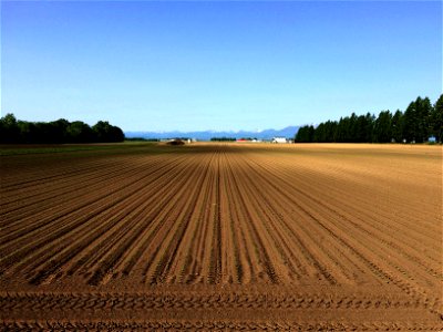 Field Hokkaido Agriculture photo