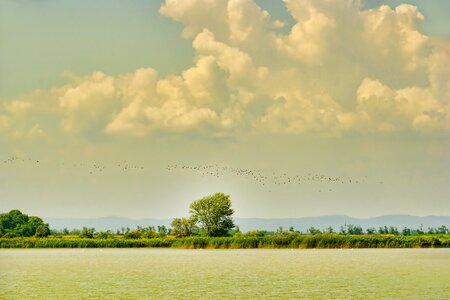 Clouds flock of birds sky photo