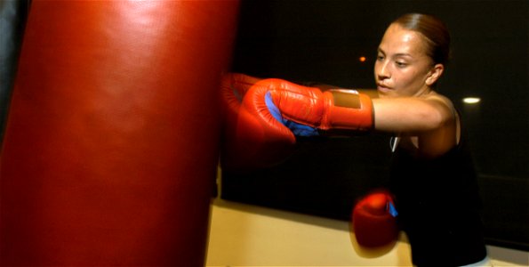 Boxing Boxer photo