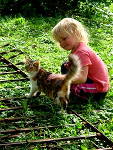 Little Girl Cat photo