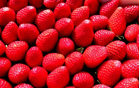 Strawberry Fruit photo