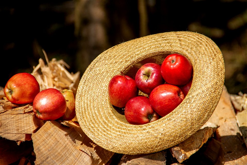 Apple Fruit Straw Hat