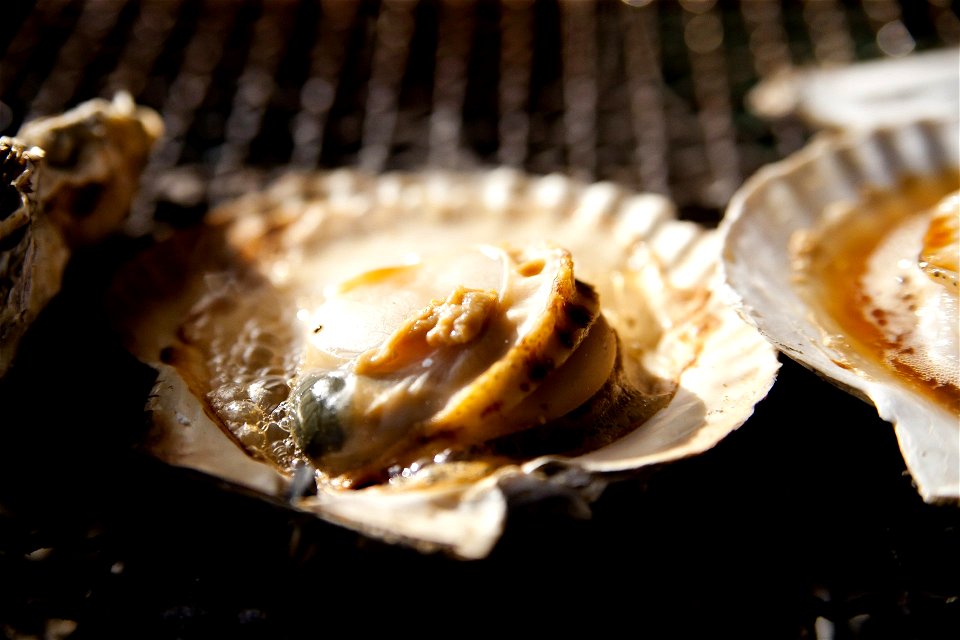 Seared Scallops Cooking