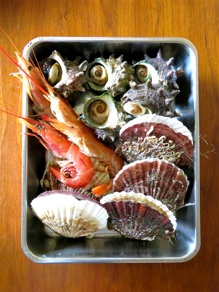 Yesso Scallop Turbo Sazae Shrimp