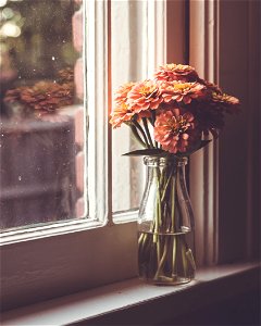 Window Flower Vase photo