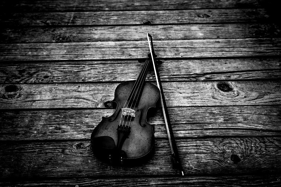 Violin Musical Instrument photo