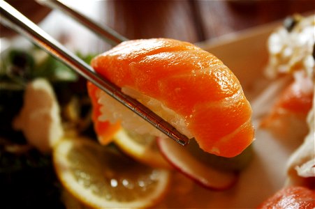 Salmon Sushi Food photo