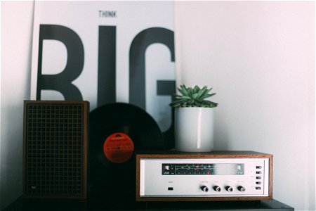 Radio Tuner Speaker photo